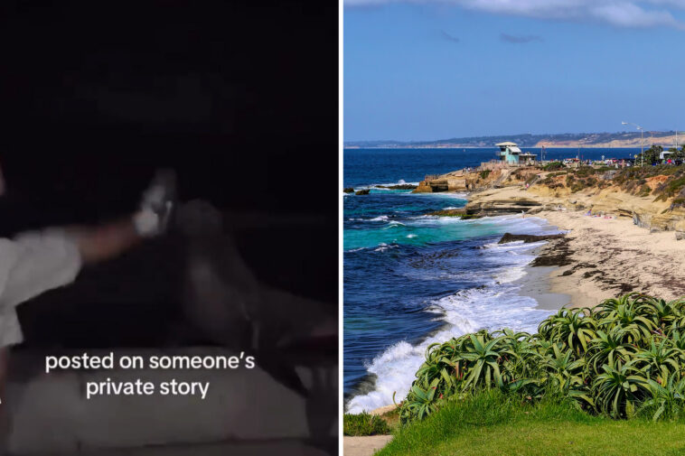 shocking-video-shows-heartless-punk-unleash-flurry-of-kicks-at-sea-lion-on-socal-beach