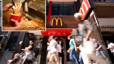 burning-mad!-woman-sues-nyc-mcdonald’s-over-scorching-hot-french-fries