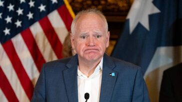 transgender-dolls-to-be-available-for-minnesota-schoolchildren-as-young-as-4-under-walz-backed-program:-report