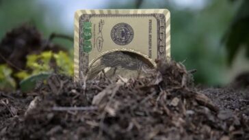 insane-cards-charging-0%-interest-into-2028-(with-welcome-bonuses-up-to-$200)
