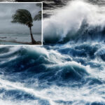 rare-atlantic-nina-could-tame-hurricane-season-—-even-as-powerful-el-nino-brews-in-pacific