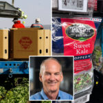 taylor-farms-ceo-breaks-silence-over-explosive-diarrhea-outbreak-as-class-action-lawsuit-filed