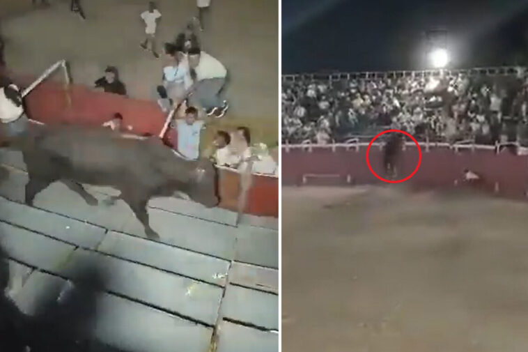 raging-bull!-beast-goes-berserk,-sending-fans-fleeing-for-their-lives