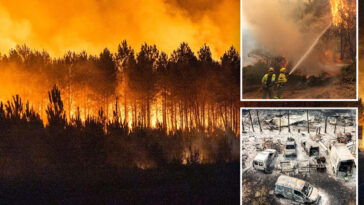 over-250,000-people-forced-to-flee-homes-as-france-and-spain-battle-raging-wildfires