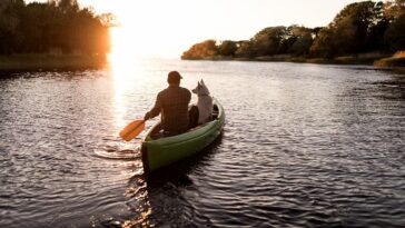 man-who-beat-rare-cancer-celebrates-by-canoeing-2,000-miles-with-his-dog