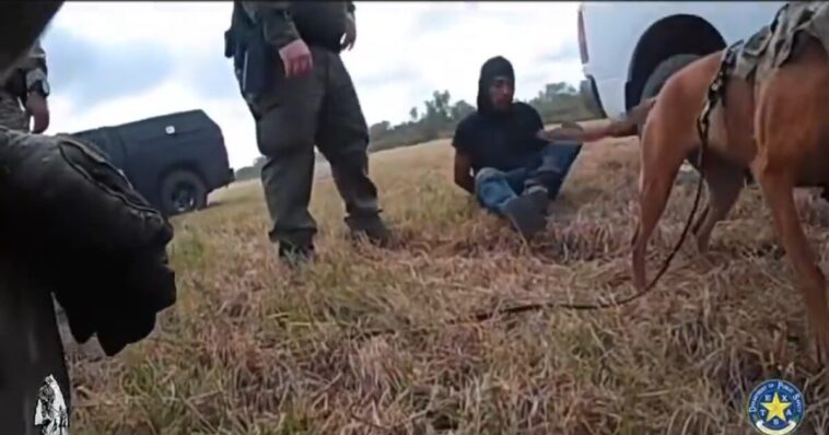 texas-dps-k-9-locates-criminal-illegal-alien-ms-13-gang-member-in-brush-during-5-mile-trek-(video)