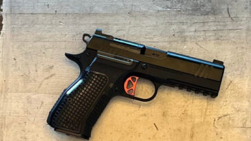 dan-wesson-dwx-compact:-where-the-cz-75-and-1911-meet