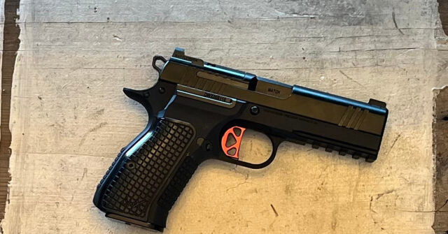 dan-wesson-dwx-compact:-where-the-cz-75-and-1911-meet