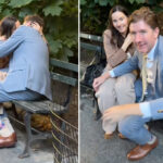 lawyers-caught-canoodling-in-central-park-in-viral-video-identified  