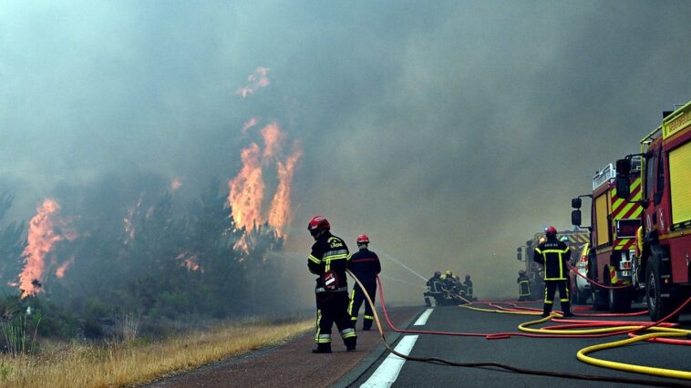 wildfires-displace-more-than-250,000-in-france,-threaten-famed-wine-region
