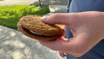depression-era-little-debbie-snack-that-built-a-family-run-bakery-still-has-americans-hooked