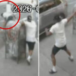 horrific-video-shows-wild-brawl-that-ended-with-innocent-cop’s-son,-12,-fatally-shot