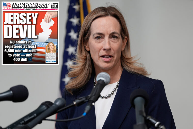 gop-chief-claims-nj’s-6,600-non-citizens-illegally-registered-to-vote-are-just-tip-of-the-iceberg:-‘more-to-come’