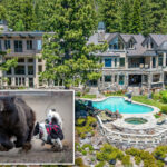 millionaire-lake-tahoe-homeowners-deploy-risky-new-strategy-against-escalating-bear-crisis