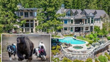 millionaire-lake-tahoe-homeowners-deploy-risky-new-strategy-against-escalating-bear-crisis