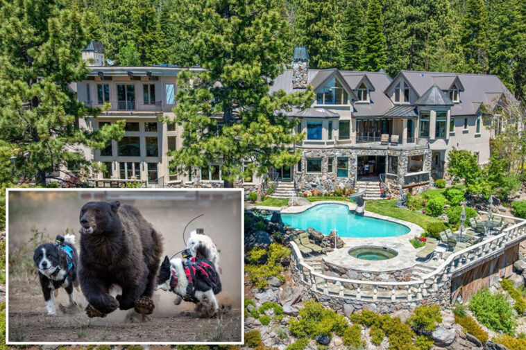 millionaire-lake-tahoe-homeowners-deploy-risky-new-strategy-against-escalating-bear-crisis
