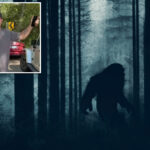 rhode-island-dad-claims-he-saw-bigfoot-in-connecticut-woods-—-and-detailed-that-it-had-‘no-boobs’