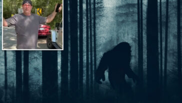 rhode-island-dad-claims-he-saw-bigfoot-in-connecticut-woods-—-and-detailed-that-it-had-‘no-boobs’