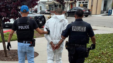 california:-19-year-old-accused-of-fatally-stabbing-elderly-artist-had-‘homicidal-fantasies’