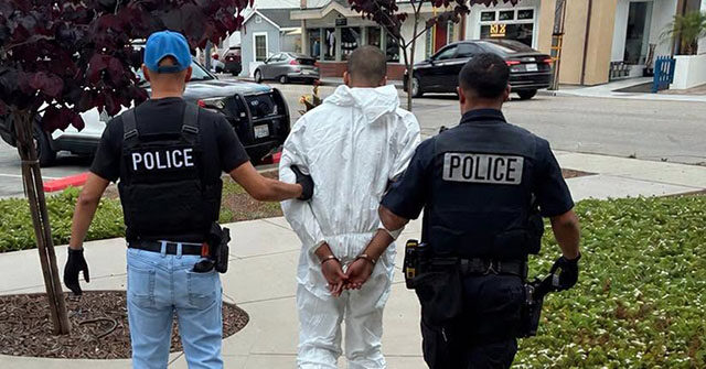 california:-19-year-old-accused-of-fatally-stabbing-elderly-artist-had-‘homicidal-fantasies’