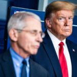 inside-fauci’s-private-diary:-what-he-wrote-about-trump,-tv-personalities-and-celebrities