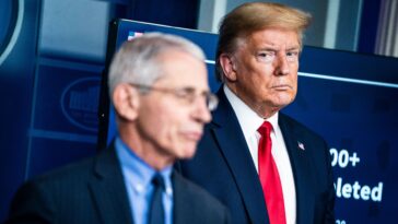 inside-fauci’s-private-diary:-what-he-wrote-about-trump,-tv-personalities-and-celebrities