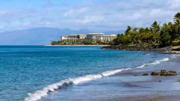 california-family-injured-in-bloody-maui-resort-alleged-anti-white-brawl