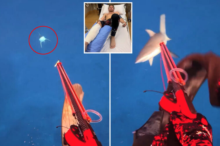 influencer-films-shark-almost-biting-off-his-leg-—then-shares-amazing-message-about-it