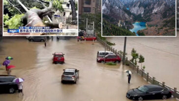 china-evacuates-stranded-tourists-from-famed-world-heritage-site-after-mudslides