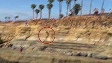 moment-teen-illegally-jumps-off-sunset-cliffs-in-san-diego-—-before-everything-goes-horribly-wrong