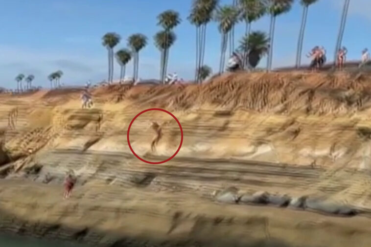 moment-teen-illegally-jumps-off-sunset-cliffs-in-san-diego-—-before-everything-goes-horribly-wrong