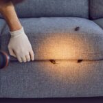 pest-control-experts-swear-by-these-products-to-keep-bugs-and-mice-away