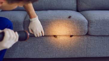 pest-control-experts-swear-by-these-products-to-keep-bugs-and-mice-away