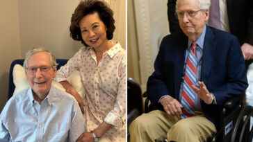 mitch-mcconnell-grins-beside-wife-elaine-chao-in-new-photo-as-he-recovers-from-a-fall