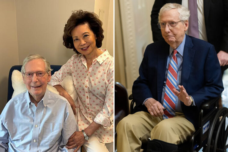 mitch-mcconnell-grins-beside-wife-elaine-chao-in-new-photo-as-he-recovers-from-a-fall