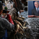 dr.-anthony-fauci-ruled-out-wuhan-market-origin-for-covid-19-in-private-diary-entries