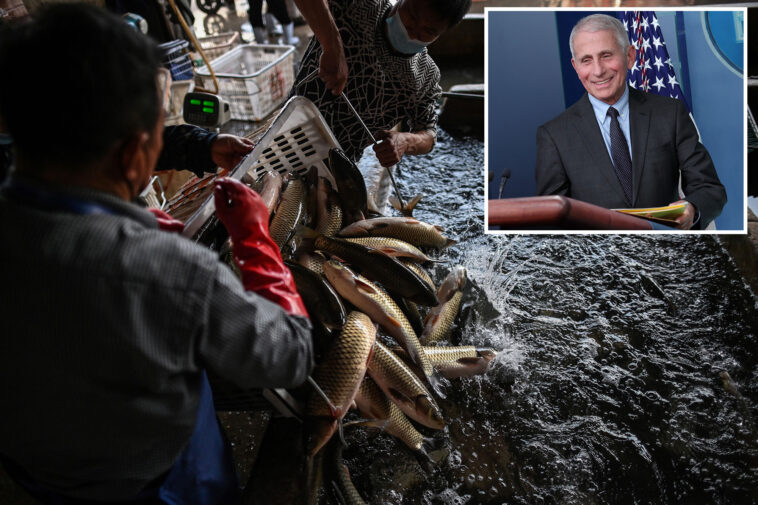 dr.-anthony-fauci-ruled-out-wuhan-market-origin-for-covid-19-in-private-diary-entries