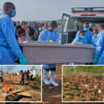 more-health-workers-strike-as-ebola-cases-in-congo-near-3,000,-including-over-1,300-deaths