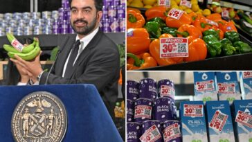 mamdani-plans-30%-discounts-at-city-owned-groceries-—-but-it-comes-with-basket-of-questions