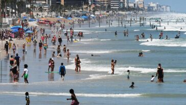 shark-week-dangers-hit-home-as-man-is-badly-bitten-while-saving-pregnant-fiancee-from-harm
