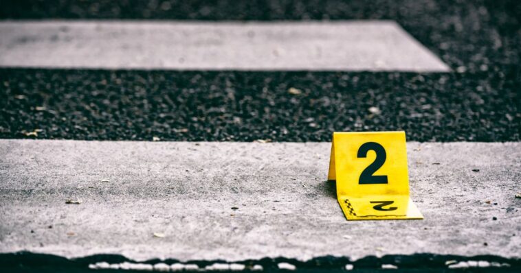 two-illegals-jailed-after-beloved-grandmother-struck-with-vehicle,-then-fatally-run-over-–-dem’s-diversity-dream-is-a-nightmare