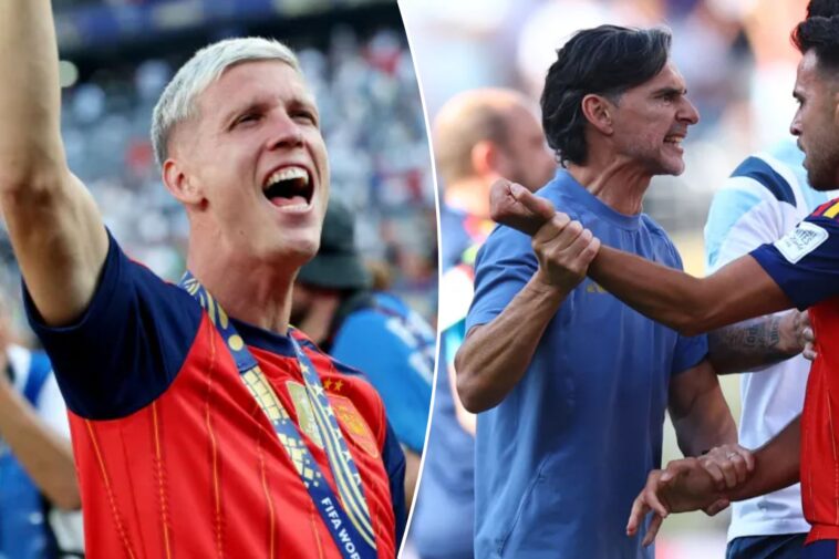 spain-star-fumes-at-‘lying’-argentina-coach-who-punched-him-during-world-cup-brawl