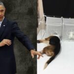 diary-bombshell:-obama-personally-coached-fauci-on-beaglegate,-deployed-his-fixer,-and-weaponized-the-washington-post-to-try-and-crush-white-coat-waste