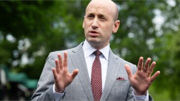 fauci-advised-stephen-miller-to-leave-his-pregnant-wife-alone-with-covid,-get-a-hotel