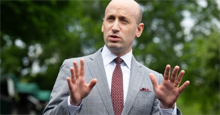 fauci-advised-stephen-miller-to-leave-his-pregnant-wife-alone-with-covid,-get-a-hotel
