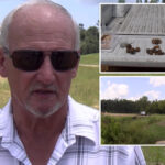 property-owner-discovers-more-than-200-civil-war-era-cannonballs-on-his-land