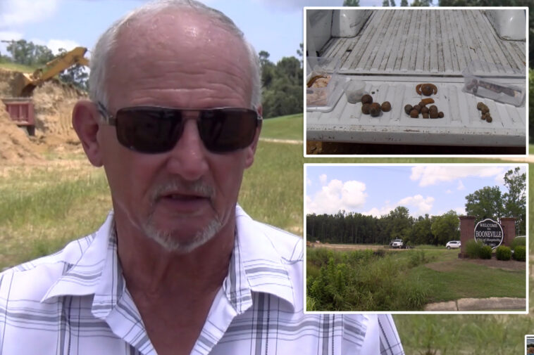 property-owner-discovers-more-than-200-civil-war-era-cannonballs-on-his-land