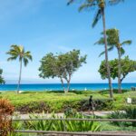 california-family-members-claim-they-were-attacked-at-luxury-maui-resort-during-violent-melee