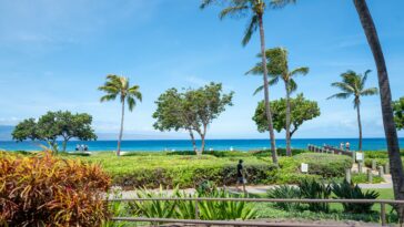 california-family-members-claim-they-were-attacked-at-luxury-maui-resort-during-violent-melee