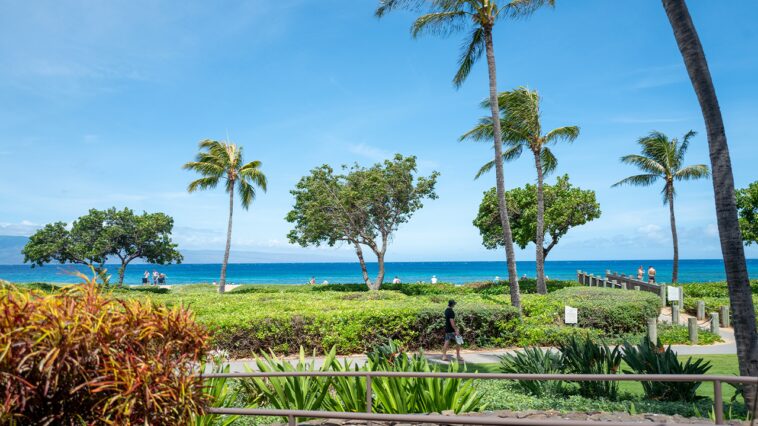 california-family-members-claim-they-were-attacked-at-luxury-maui-resort-during-violent-melee